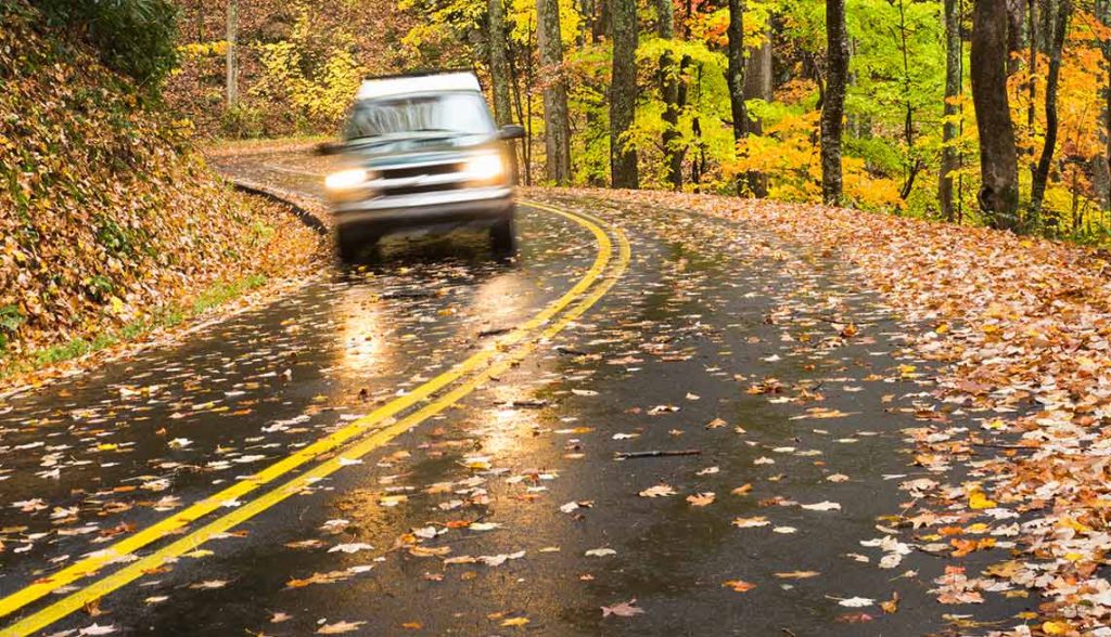 Fall Driving Safety Tips